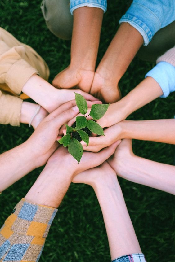 Everything about Earth Day. How to celebrate Earth Day 2023 with flowers in San Francisco.