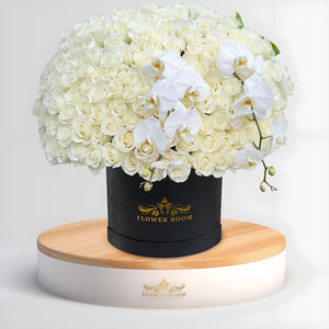 150 white roses with white orchids in a black box